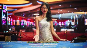 niyas toto platform dashboard showing sportsbook, live-dealer tables, and slot games